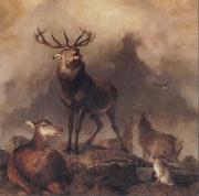 Sir Edwin Landseer A Majestic Gathering oil painting